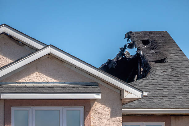 Top rated local Emergency Fire Cleanup specialists in Cokato, MN